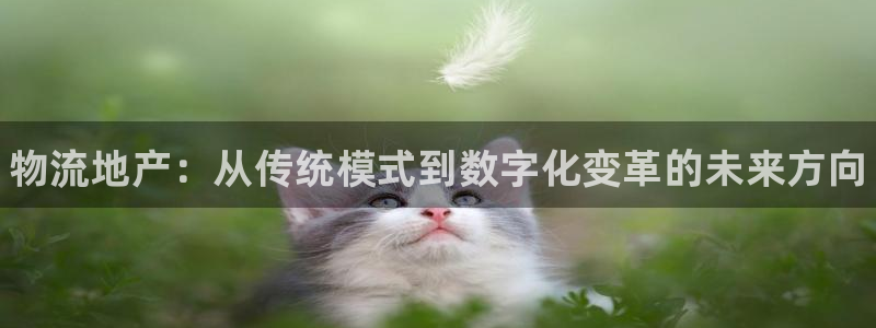 28圈官网平台：物流地产：从传统模式