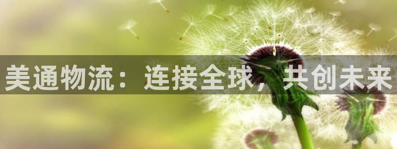 28圈圈助手：美通物流：连接全球，共